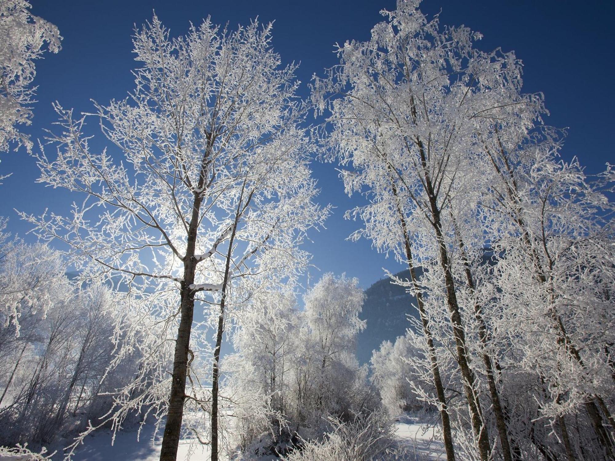 Holiday Home In Ski Area In Mittersill Luaran gambar